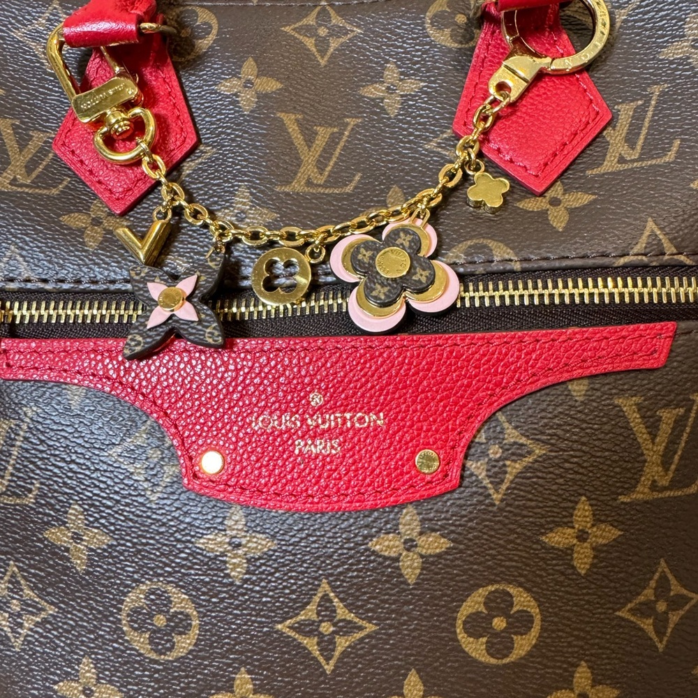 Louis Vuitton Tournelle PM Monogram - Picture 3 of 15